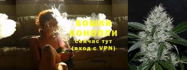 ешки Аркадак
